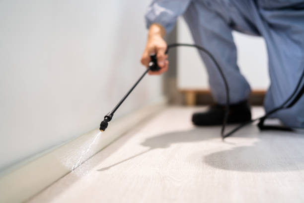 Bed Bug Pre-Treatment Preparation Assessment in Moody