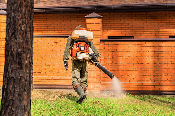 Bed Bug Clearance Verification and Documentation in Moody